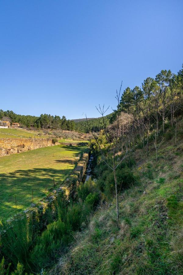 Unhais-o-Velho Aradas, Pampilhosa Da Serra, Casa Da Oliveira, Wifi, Ar Condicionado, Churrasqueira, Parqueamento, By Ig מראה חיצוני תמונה